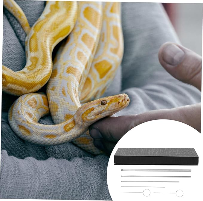 Mipcase Kit for Reptiles 6pcs Snake Probe Set Snake Gender Probe Reusable and Sturdy Portable Design