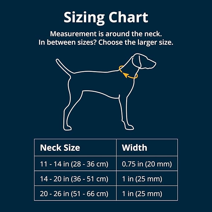 Ruffwear, Front Range Dog Collar, Adjustable Tubelok Webbing, Lightweight, Side Release Buckle, Aluminum V-Ring, Durable for Everyday Use, Sweeping Sage, 14"-20"