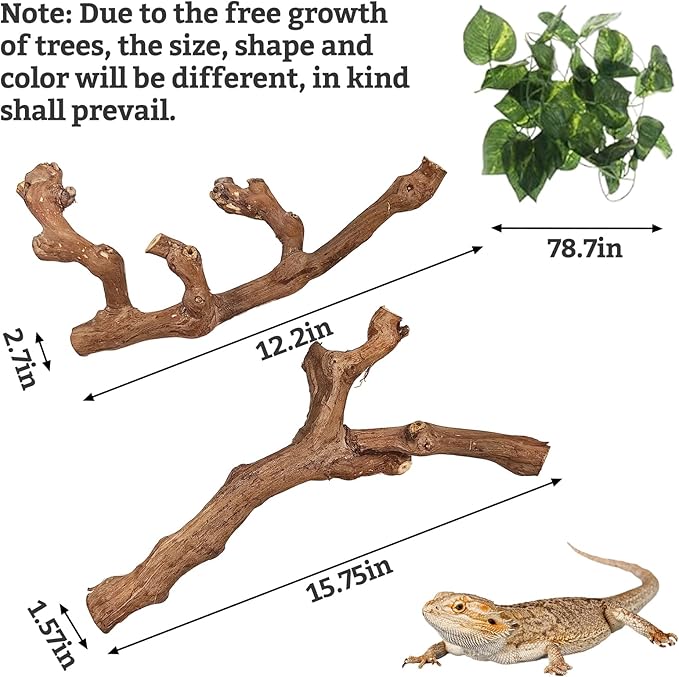 VCEPJH Snake Climbing Branch, 2Pcs Reptile Wood Natural Cork Log Tank Accessories Tree Trunk for Chameleon Bearded Dragon Gecko Snake Frog Spider
