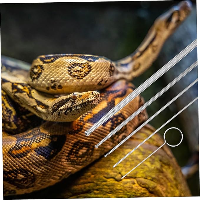 BESPORTBLE 6pcs Snake Gender Probe Reptile Supplies Snake Sexing Kit Probe Tip for Ball