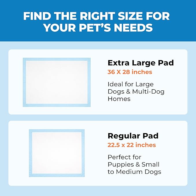 Best Pet Supplies XL (36 x 28 Inches) Puppy Pads 40 Count - Super Absorbent Dog Training Pads, Quick-Dry, Odor Control, Disposable Pee Pads, Leak-Proof Wee Wee Pads for Indoor Dogs – Baby Blue