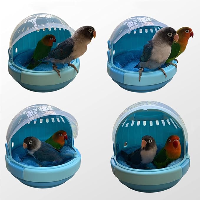 Liudan Bird Cage Bird Carrier Transparent Light Parrots for Cockatiels Small Animal Travel Bag for Hamster Squirrel Lovebirds Cage (Color : Blue)