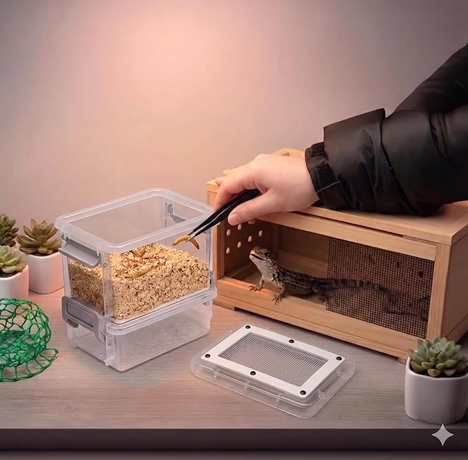 Mealworm Breeder Kit - Live Mealworm Rearing & Feeder for Reptiles, Turtles, Bearded Dragons, Leopard Geckos, Birds and Chickens (0.5-1cm)