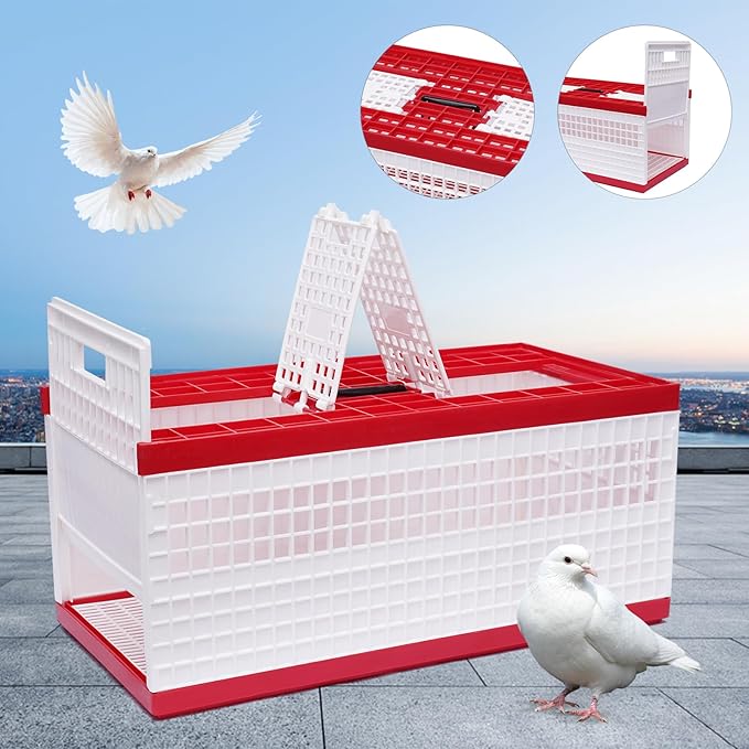 Foldable Pigeon Cage with Handle Portable Bird Travel Carrier Cage Transportation Pigeon Nest Box, 60 x31x26cm, Red