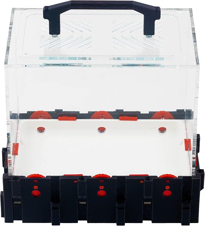 Anthouse.ES - 3D Modular Anthill Foraging Box - Model QBIK Hexa Foraging Box - 12.78x18.78x16.70 cm - Ant Colonies - Terrarium