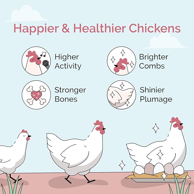 Mile Four Organic Layer Chicken Feed Kit | Feeds 10 Layer (20+ Weeks) Chickens for 4 Weeks | Feed (69 lb), Grit (12 lb), Oyster Shell (16 lb) | Pellet