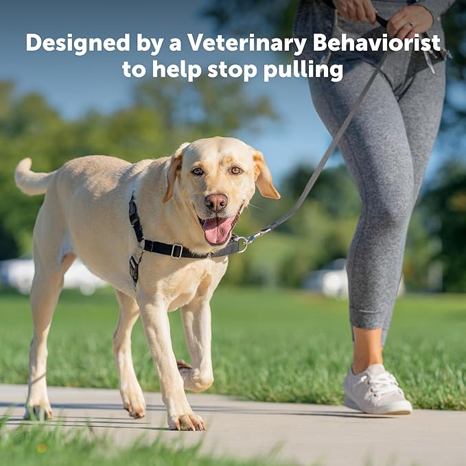 PetSafe Easy Walk Harness for Dogs - Pull-Free Walks - Patented Martingale Loop Design - Front Chest Leash Attachment - Comfort Straps - Breathable Harness Design - Medium, Teal/Gray