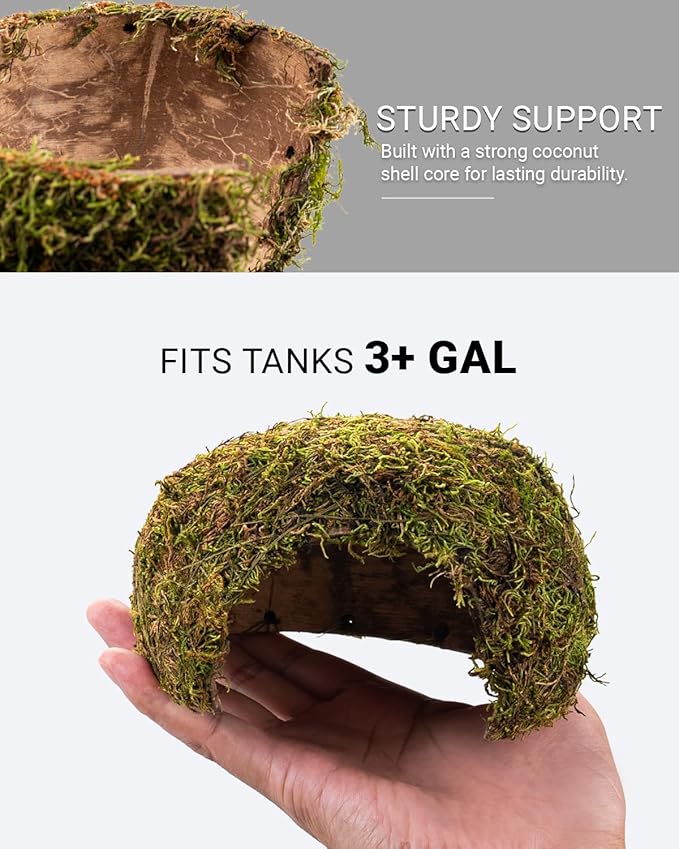 Reptile Hides and Caves – Leopard Gecko Tank Accessories, Natural Dome Reptile Cave & Shelter, Gecko Tank Accessories & Hermit Crab Shelter, Hamster Cage Accessories