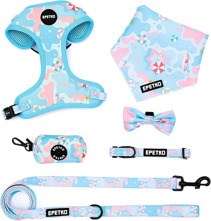 Small Dog Harness and Leash Set of 6, No Pull Soft Lightweight Mesh Puppy Harness， Adjustable Cute Floral Pattern Pet Harness for Small Medium Dogs (Blue Sea, XS)
