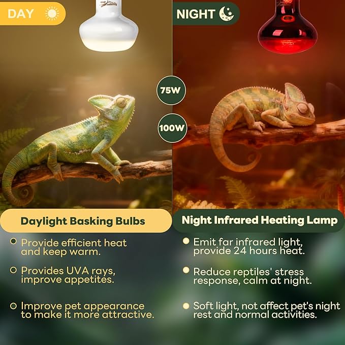 Reptile Heat Lamp Bulbs, 2 Pack 100W Reptile Heat Bulbs UVA Daylight Basking Bulb and Infrared Heat Lamp Red Night Light Bulb Combo for Bearded Dragon Chameleon Turtle Snake Gecko Lizard Chicken Tank