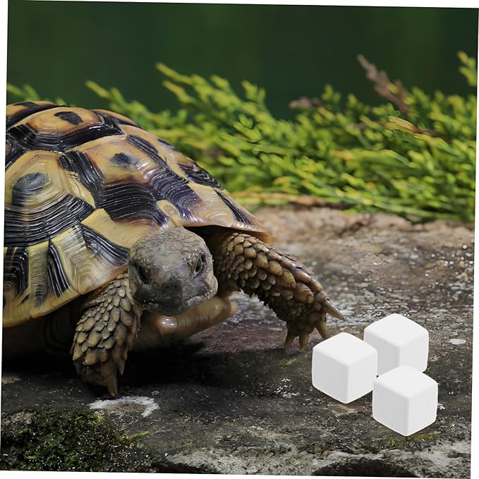 Abaodam 6pcs for Reptiles and Crabs Natural Molar Cubes for Enhanced Digestion and Mineral Supply Lightweight Chew Toys for Terrariums and Aquariums