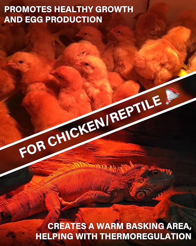Heat Lamp Bulbs for Chickens Coop Brooder with Plug in Cord,On/Off Switch,150 Watt E26 Reptile Heat Lamp Bulb Infrared Red Light for Chicks,Birds,Ducks,Dogs,Cats