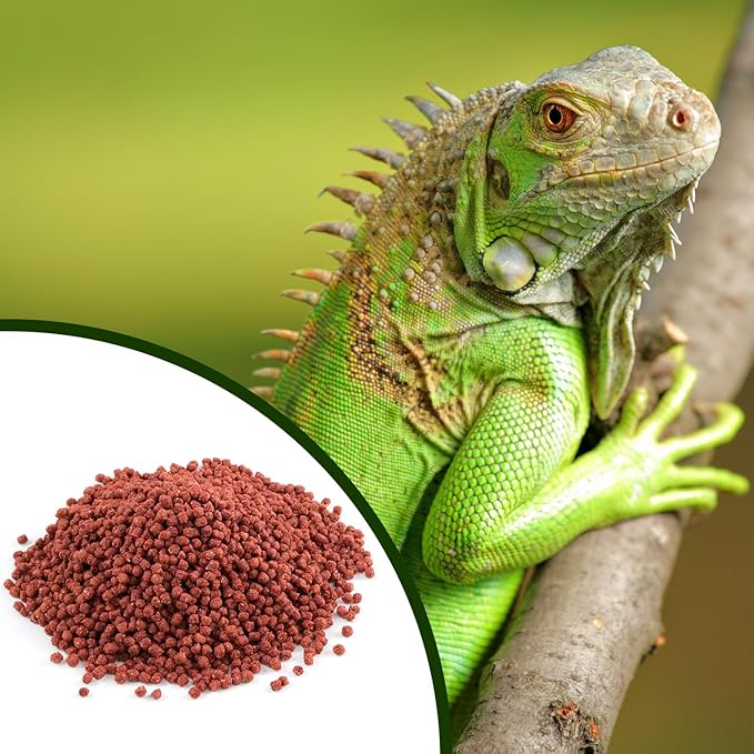 Mozaic Iguana Food | Food for Juvenile and Adult Iguanas | Small Red Pellet (1/8") | Complete Formulated Diet | 2 Pound Bag (2 LB)