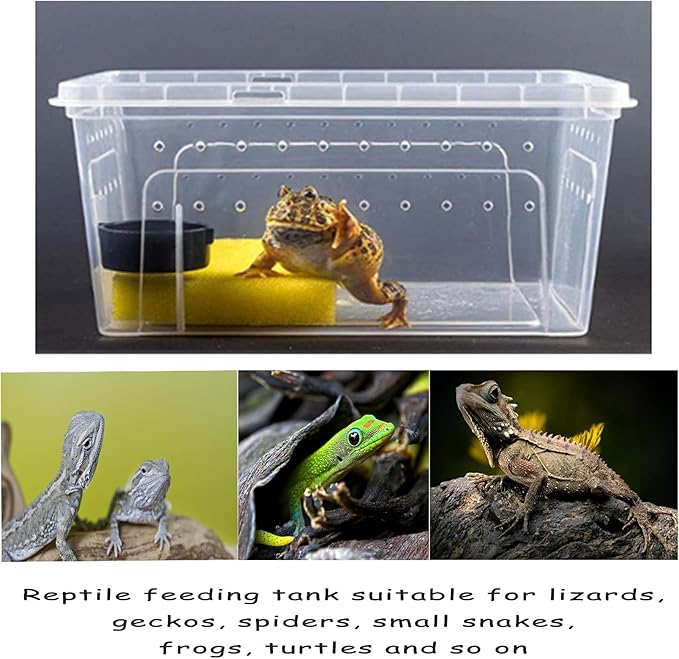 Hamiledyi 2PCS Reptile Feeding Box Snake Breeding Box Transparent Animal Habitat Cage Portable Plastic Turtle Transport Container for Bearded Dragon Lizard Spider Frog Scorpion Gecko 12.6 x 8.6 x 5.9