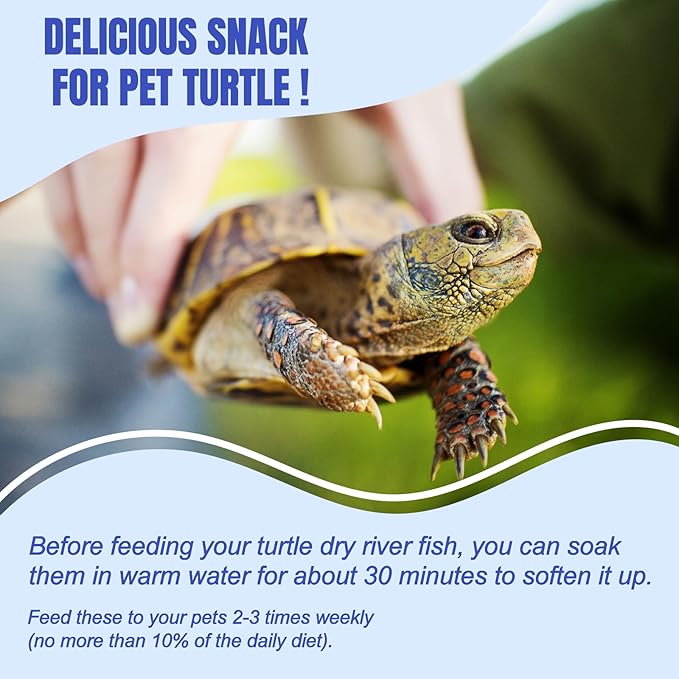 Amzey 3 Pack 0.8Oz (Total 2.4Oz or 68Gram Dried River Fish - Natural Food for Turtles, Terrapins, Reptiles and Large Tropical Fish