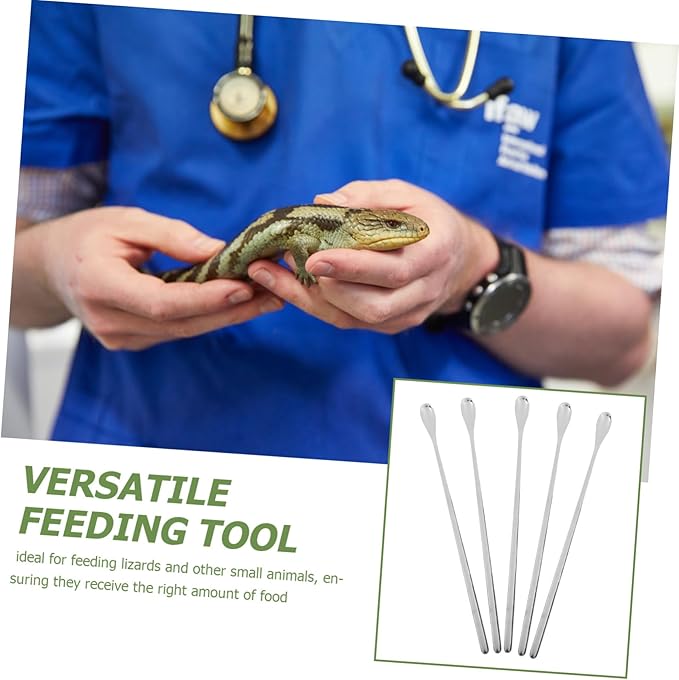 5pcs Portable Lizard Food Spoons Long Handle Feeding Tool for Small Animals Durable Material Effortless Control for Balanced Nutrition Reptile Tanks