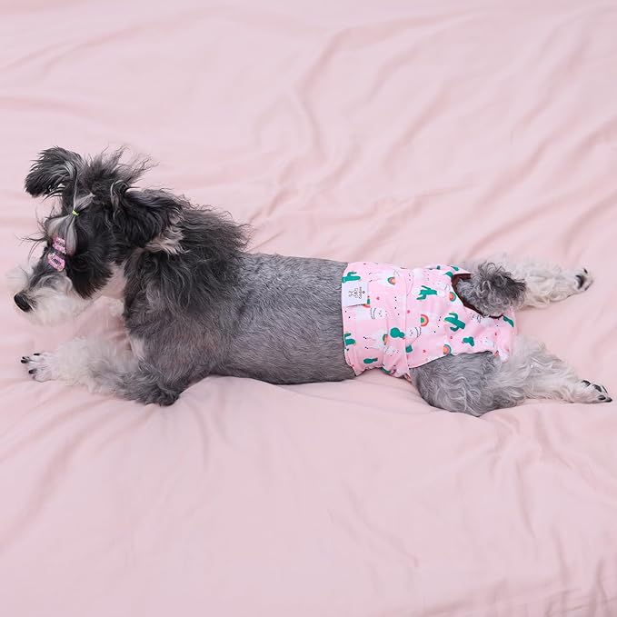 CuteBone Dog Diapers Female Washable Small Medium Large 3 Pack Reusable Doggie Diapers Puppy Period Pants for Doggy Heat Cycle Peeing