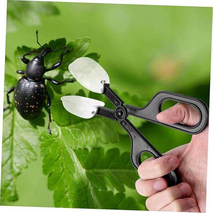 POPETPOP 6pcs Reptile Feeding Clip Flexible Cleaning Tool for Insect Feeding for Crickets and Locusts Comfortable Scissors Handle for and Breeding
