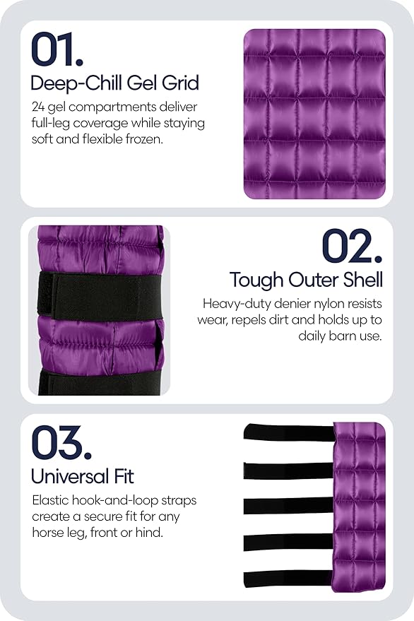 Equinavia Cool Relief Therapy Ice Boots Leg Wraps Pair for Horses, Gel Pack with Adjustable Straps | 16.5" x 15.5" with Storage Bag - Purple - Pair - One Size