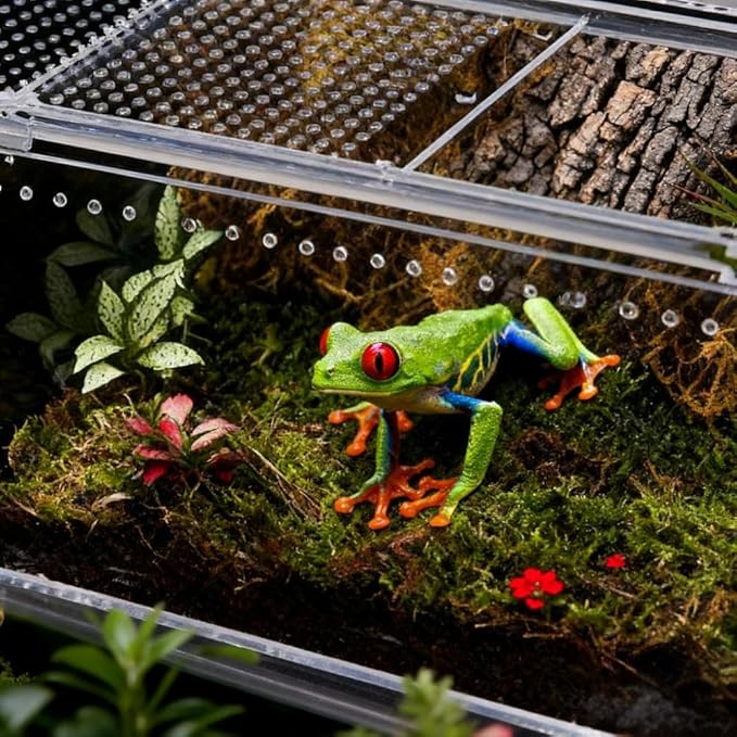 8" x 6"x 3.9" Mini Reptile Terrarium,Small Plastic Terrarium for Lizards Frogs Snakes,Transparent Spider Scorpion Insect Enclosure with Ventilation,for Pet Breeding Molting and Isolation Habitat