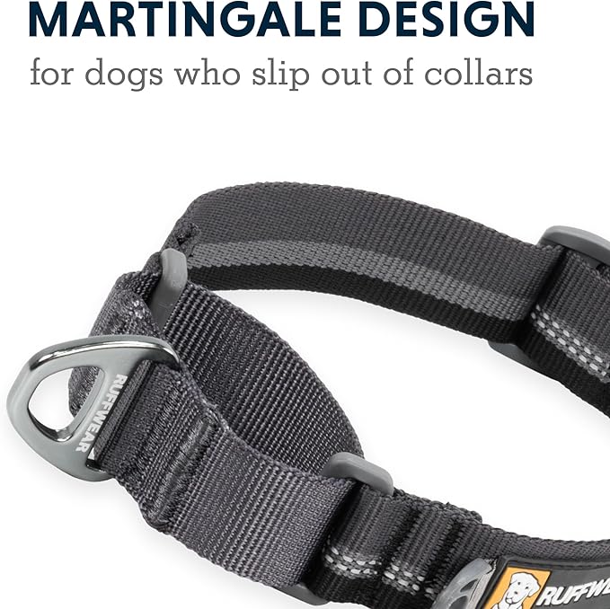 Ruffwear, Web Reaction Dog Collar, Escape-Proof Security Buckle, Adjustable Anti-Slip Martingale Collar with Durable Nylon Tubelok Webbing & Silent ID Attachment, River Rock Green, 14"-17"