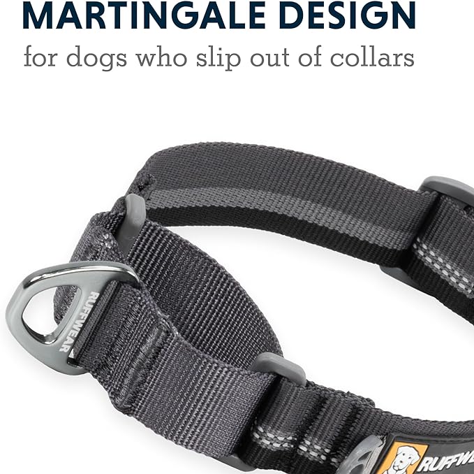 Ruffwear, Web Reaction Dog Collar, Escape-Proof Security Buckle, Adjustable Anti-Slip Martingale Collar with Durable Nylon Tubelok Webbing & Silent ID Attachment, Blue Pool, 14"-17"