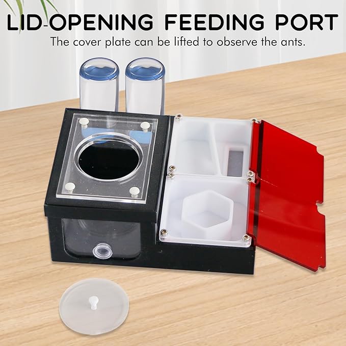 Ant Farm Nest - Educational Habitat - Black and White Acrylic Design with Built-in Water Tower and Clear Observation Area (M)