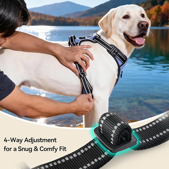 PHOEPET No Pull Dog Harness Reflective Adjustable with 2 Metal Leash Hooks and Soft Training Handle [Over The Head Design](L, Baby Blue)