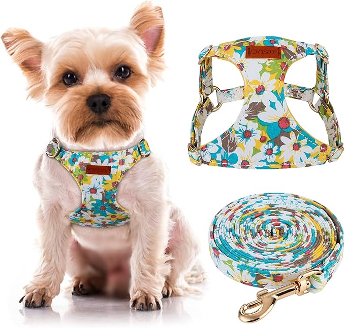 CHEDE Floral Yellow Daisy Dog Harness (XS, Small Dogs), Soft Breathable Cotton, Adjustable, No-Pull, with 360° Rotating Clasp Leash, Ideal for Walking, Jogging, Training