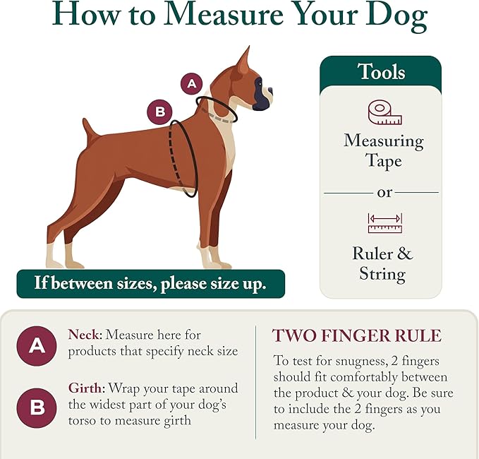 Sporn No Pull Dog Harness, Durable Nylon Mesh Harness for Small Dogs, No Choke Design, Padded Restraint Sleeves, Adjustable Fit, Easy On/Off, Ideal for Small Breeds, Red
