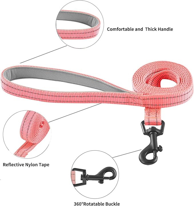 Hipubby Dog Harness and Leash Set, No Pull Soft Mesh Puppy Harness for Small Medium Dogs, Cats - Step in Reflective Breathable Lightweight Vest Harness for Walking, Training - Pink, L