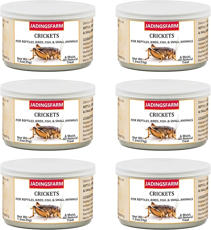 6 Pack Canned Crickets for Reptiles, Fish, Birds and Small Animals, Crickets, Healthy High Protein Treat, Reptile Bird Fish Food 7.2 Ounces Total
