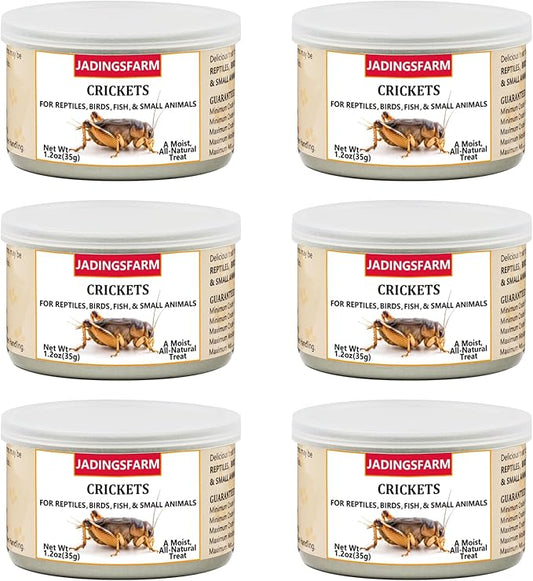 6 Pack Canned Crickets for Reptiles, Fish, Birds and Small Animals, Crickets, Healthy High Protein Treat, Reptile Bird Fish Food 7.2 Ounces Total