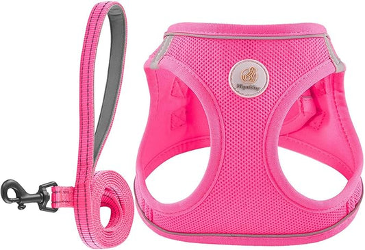 Hipubby Dog Harness and Leash Set, No Pull Soft Mesh Puppy Harness for Small Medium Dogs, Cats - Step in Reflective Breathable Lightweight Vest Harness for Walking, Training - Rose Red, S
