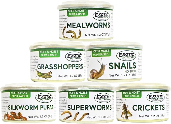 Canned Insect Assortment 6 Pack - Healthy High Protein Treat - For Hedgehogs, Sugar Gliders, Reptiles, Chickens, Lizards, Bearded Dragons, Turtles, Fish, Birds, Opossums, Skunks and other Insectivores