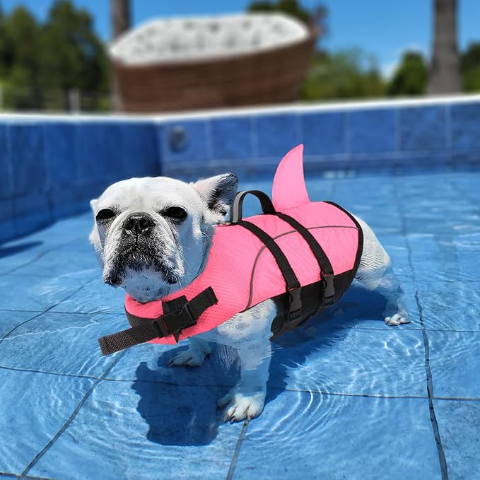 Queenmore Cat Life Jacket, XXS Extra Small Dog Life Vest, Puppy Life Vest for Swimming, Small Dog Vests for Boating, Lightweight High-Vis Water Floating Vest with Rescue Handle/Leash Hook