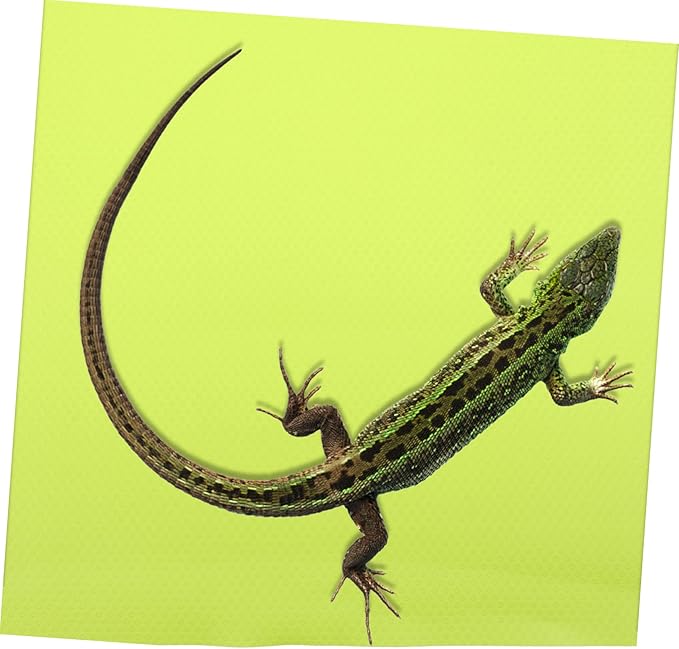 Reptile Carpet Mat for Terrarium Bedding Suitable for Lizards Snakes Tortoises and Geckos Easy to Clean Reptile Tank Accessory