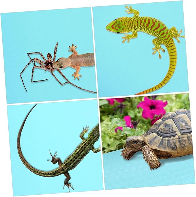 BESPORTBLE Leopard Gecko Terrarium Carpet Reptile Substrate Bedding Easy Clean Eva Mat