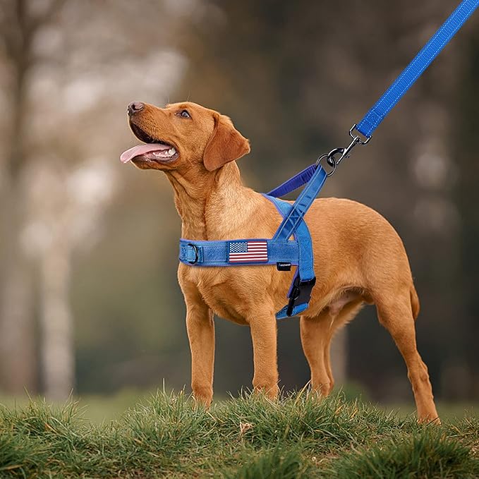 Annchwool No Pull Dog Harness with Padded Handle+5 Ft Leash,Reflective Strip Escape Proof and Quick Fit to Adjust Dog Harness,Easy for Training Walking for Small & Medium and Large Dogs(Blue-Set,XL)