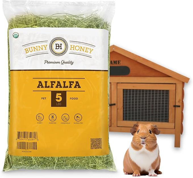 Bulk Fresh Alfalfa Hay 80oz by Bunny Honey - USDA Organic Hay for Small Select Pets, Guinea Pigs, Rabbits, Hamsters - Best Cut & Delivered Fresh - Promotes Healthy Digestive Function - 5 Pound