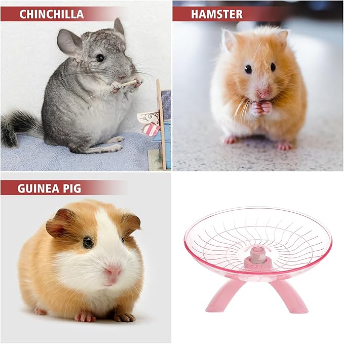 DOITOOL Non Run Disc Exercise Wheel for Hamsters Hedgehogs Small Pets 7.1 Inch Quiet Portable Pet Exercise Toy for Healthy Activity and Nail Training