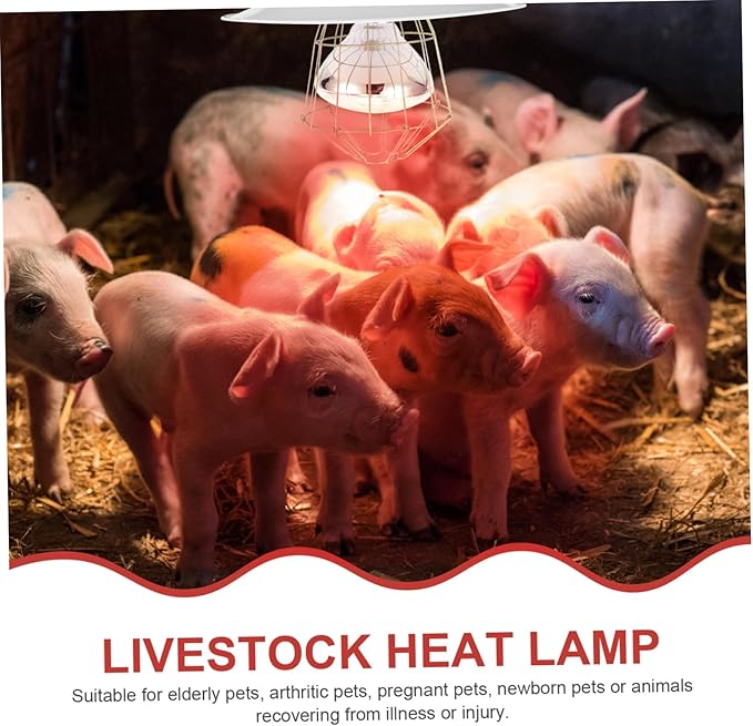 Heating Lamp Poultry Heat Lamp with and Materials for Pets Reptiles and Breeding Safe and Convenient Use