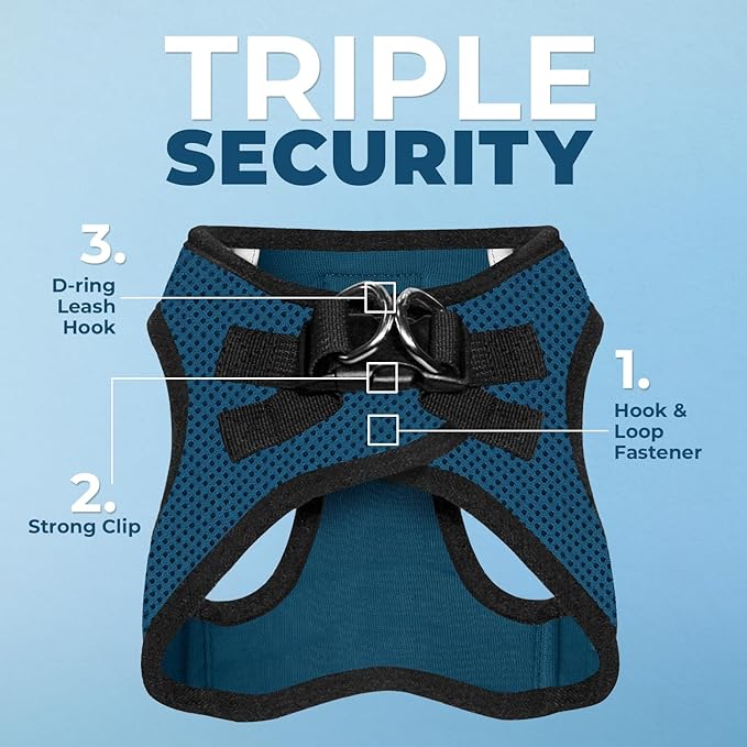 Best Pet Supplies Voyager Step-in Air All Weather Mesh Harness and Reflective Dog 5ft Leash Combo with Neoprene Handle, for Small, Medium and Large Breed Puppies - Set (Blue/Black Trim), Small