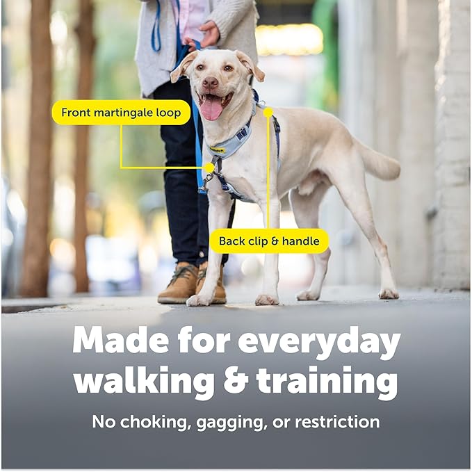 PetSafe Easy Walk Comfort No-Pull Dog Harness - Better Walk Training Harness - Full Body Padded Design - Durable Fabric - 5 Point Adjustable Fit - Everyday Leash Training - Black - Medium/Large