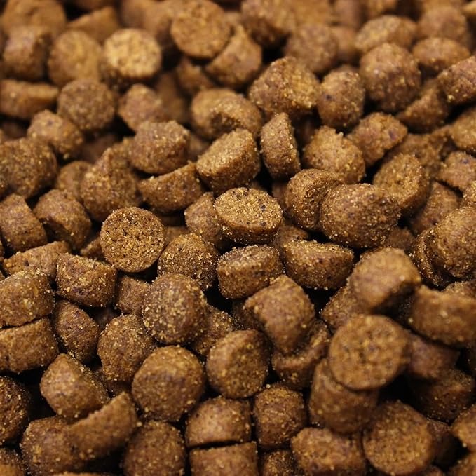 Higgins Intune Ferret Food & Treat Bundle Intune Ferret Diet 4lbs & Intune Duets Ferret Treats (Chicken Meal/Salmon) 3.04oz.