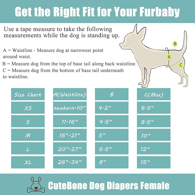 CuteBone Dog Diapers Female Washable Small Medium Large 3 Pack Reusable Doggie Diapers Puppy Period Pants for Doggy Heat Cycle Peeing D31L