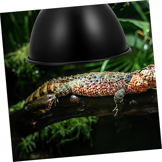 STOBAZA Dome Shaped Bulb Shade for Reptile Terrariums Reptile Habitat Lighting Shade Terrarium Heat Lamp Reflector Cover Easy Install Lamp Fixture Protector