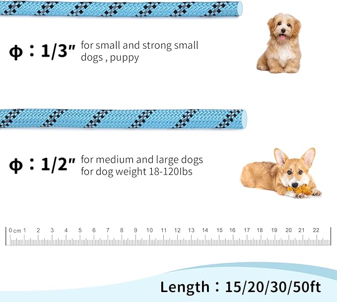 Long Dog Leash for Training 50Ft-Reflective Nylon Rope with Swivel Hook-Recall Agility Lead for Large Small Medium Dogs Outside Walking Hiking-Sky Blue Diam 1/2"