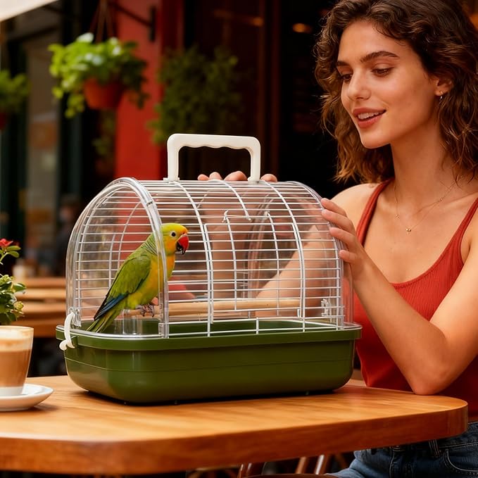 Bird Travel Carrier Box – Standing Perch Transparent Window, Sleek, Cage Parakeet Canary Cockatiel, Conure Bearded Dragon | Parakeet Canary Cockatiel Conure Bearded Dragon Sturdy Ergonomic