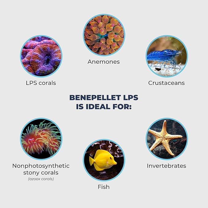 BenePellet LPS Sinking Coral Reef Food - Optimize Coral Color, Health & Nutrients, Prebiotics & Probiotics, Saltwater Marine Aquarium 2.5mm Sinking Pellets - 76 Grams
